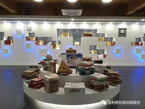 从小纸箱厂到行业航母，软件开发何以成为老板获国家肯定的关键引擎